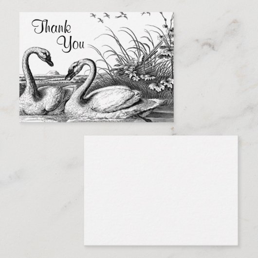 Swans Couple on Lake Danke Karte (Vorne/Hinten)