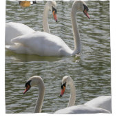 Swans Duschvorhang (Vorderseite)