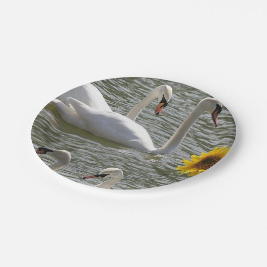 Swans für Papierfächer Pappteller (Schrägansicht)