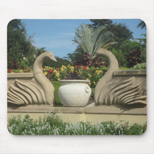 Swans Guarding Hollis Gardens Mousepad (Vorne)