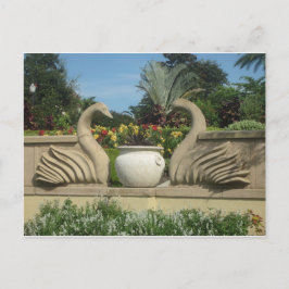 Swans Guarding Hollis Gardens Postkarte