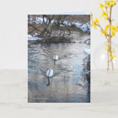Swans II Karte (Gelbe Blume)