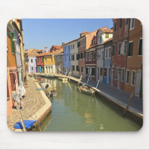 Swans in canal, Burano Island, Venice, Italy Mousepad