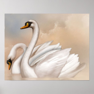 Swans in einem See Poster
