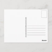 Swans in Liebe Postkarte (Rückseite)