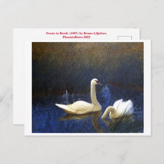 Swans in Reeds (1907) von Bruno Liljefors Postkarte (Vorne/Hinten)