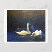 Swans in Reeds (1907) von Bruno Liljefors Postkarte (Vorderseite)