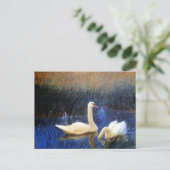 Swans in Reeds von Bruno Liljefors Postkarte (Stehend Vorderseite)