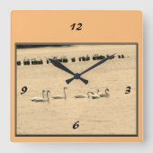 Swans in Seagulls Wall Clock Quadratische Wanduhr (Vorderseite)