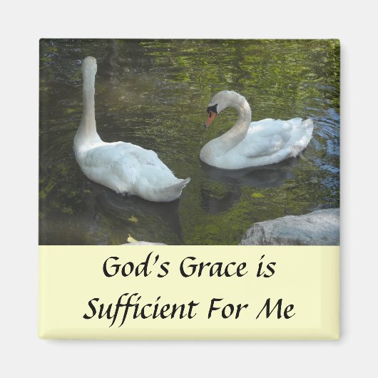 Swans Inspiration Magnet (Vorne)