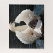 Swans Jigsaw Puzzle (Vertikal)