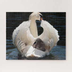 Swans Jigsaw Puzzle