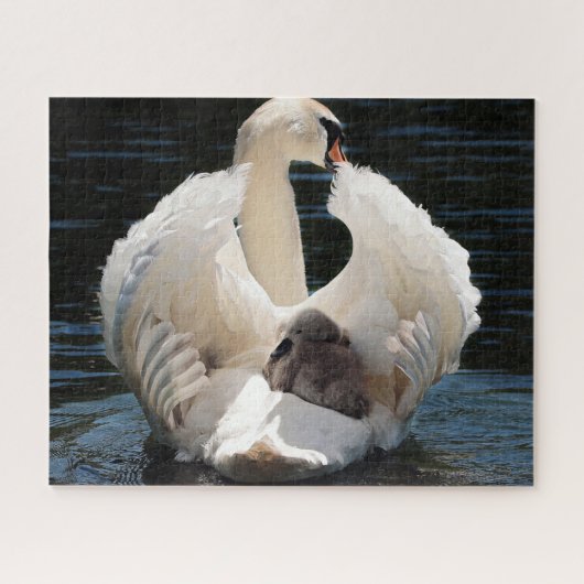Swans Jigsaw Puzzle (Horizontal)