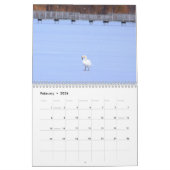 Swans-Kalender Kalender (Feb 2026)