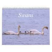 Swans-Kalender Kalender (Titelbild)