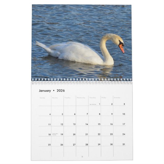 Swans-Kalender Kalender (Jan 2026)