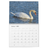 Swans-Kalender Kalender (Jan 2027)