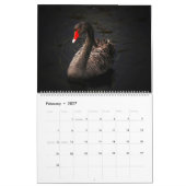 Swans-Kalender Kalender (Feb 2027)