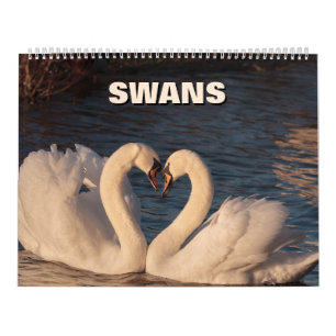 Swans-Kalender Kalender