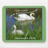 SWANS Mousepad (Vorne)