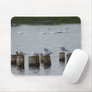 Swans n Seagulls Mouse Pad Mousepad