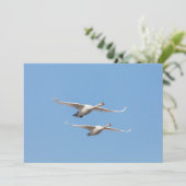 Swans Nature Foto Card (Stehend Vorderseite)