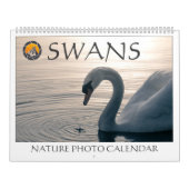 Swans Nature Fotos 2026 Kalender (Titelbild)