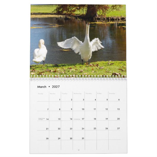 Swans of Spring Grove  Kalender (Mär 2027)