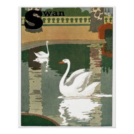 Swans on Lake Alphabet Letter Perfect Poster