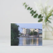 Swans on River Barrow, Carlow Town, Irland Postkarte (Stehend Vorderseite)