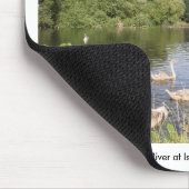 Swans on River Liffey, Islandbridge, Dublin City Mousepad (Ecke)