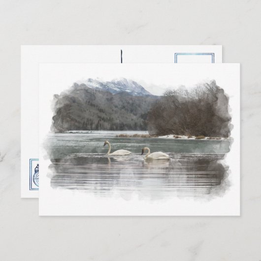 Swans Postkarte (Vorne/Hinten)