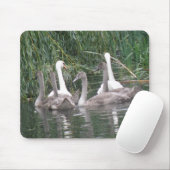 Swans und Cygnets Mousepad (Mit Mouse)