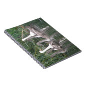 SWans und Cygnets-Notebook Notizblock (Rechte Seite)
