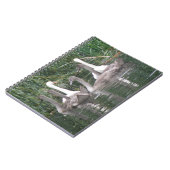 SWans und Cygnets-Notebook Notizblock (Linke Seite)