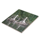 Swans und Cygnets Tile Fliese (Seite)