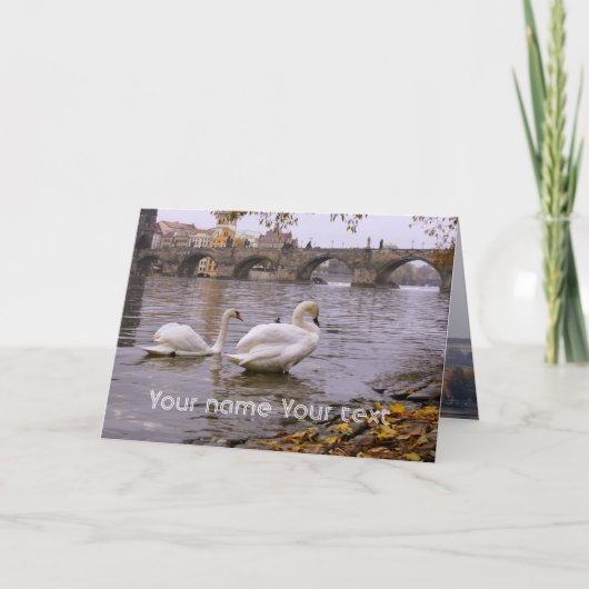 Swans und Karlsbrücke in Prag Karte (Vorderseite)