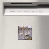 Swans und Karlsbrücke in Prag Magnet (In Situ (Geschirrspüler))