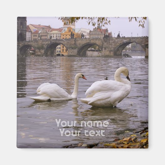 Swans und Karlsbrücke in Prag Magnet (Vorne)
