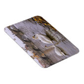 Swans und Karlsbrücke in Prag Magnet (Rechte Seite)