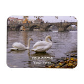 Swans und Karlsbrücke in Prag Magnet (Horizontal)
