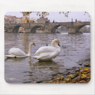 Swans und Karlsbrücke in Prag Mousepad
