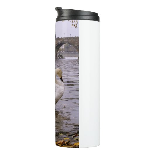 Swans und Karlsbrücke in Prag Thermosbecher (Nach rechts gedreht)