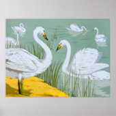 Swans von Verneuil Poster (Vorne)