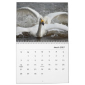Swans Wall Calendar Kalender (Mär 2027)