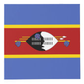 Swasiland Würfel (Rechts)