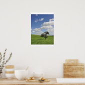 Sway Poster (Küche)