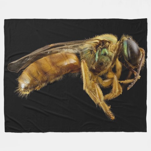 SWEAT BEE FLEECEDECKE (Vorderseite (Horizontal))