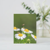 Sweat Bee Postkarte (Stehend Vorderseite)