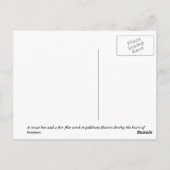 Sweat Bee Postkarte (Rückseite)